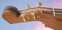 Kentucky™ Dulcimers at https://gibsondulcimers.com/kentucky_dulcimers.html