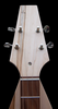 Kentucky™ Dulcimer at https://gibsondulcimers.com/kentucky_dulcimers.html