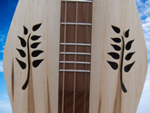 Dulcimer Sounholes at https://gibsondulcimers.com/dulcimer_soundholes.html